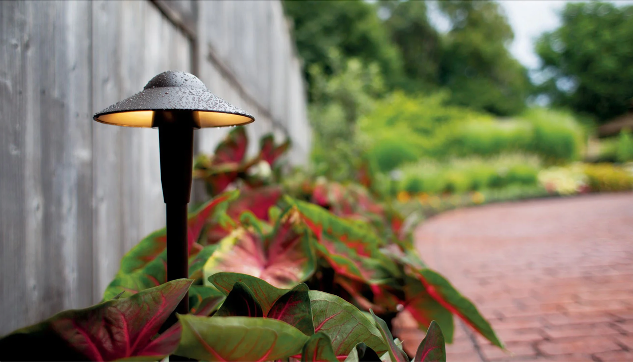 landscape lighting